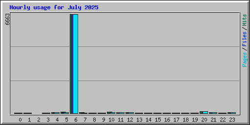 Hourly usage for July 2025