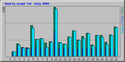 Hourly usage for July 2026